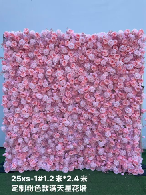 Star-shaped flower wall