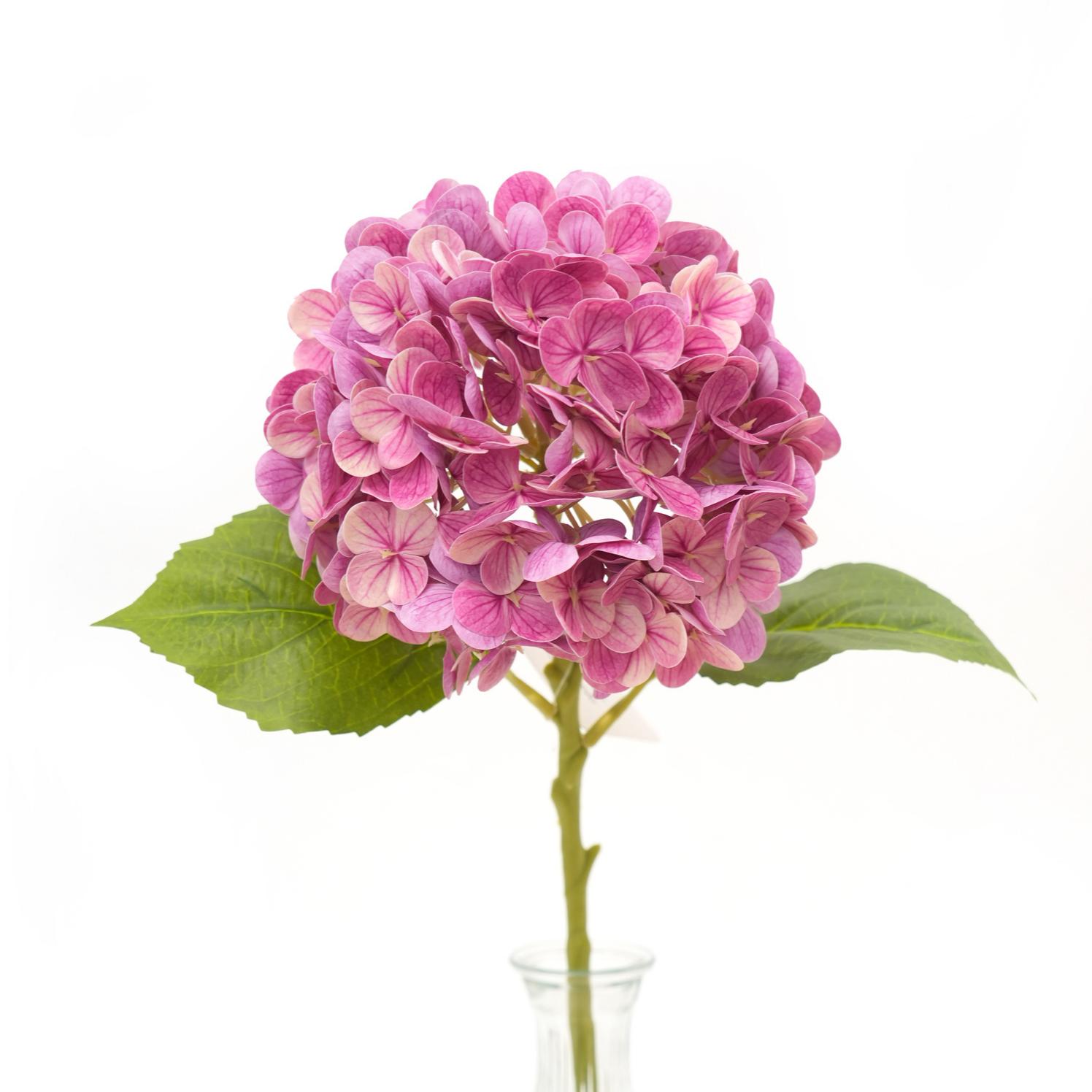 Transworld Spring Canton Fair Hot Sale Real Touch Hydrangea for Wedding Home Festival Decoration