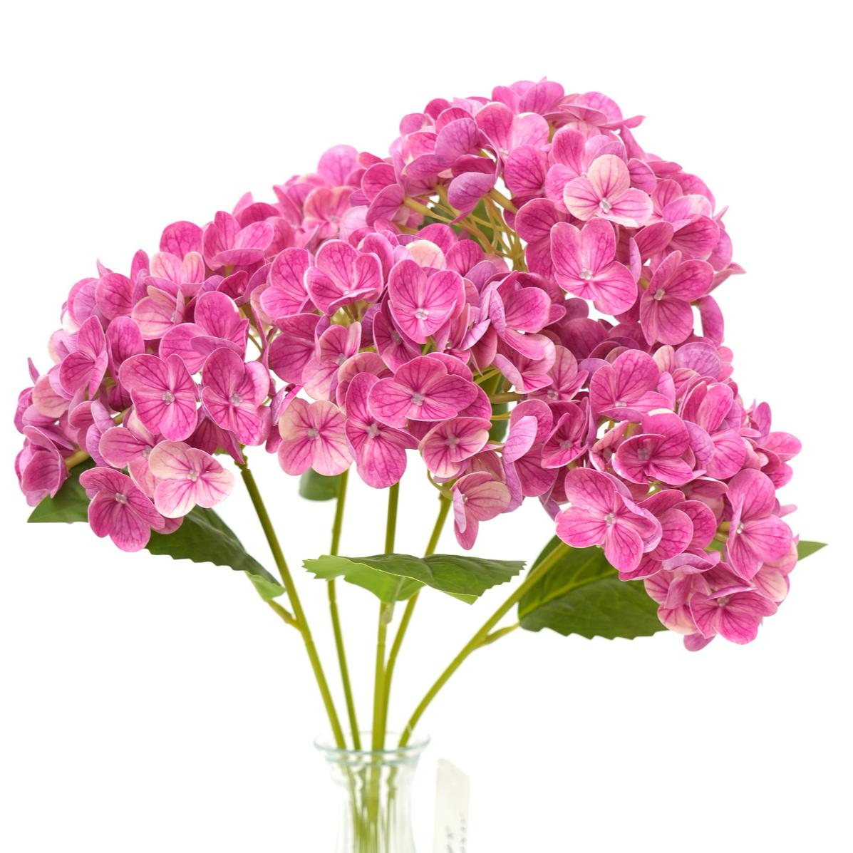 Transworld Canton Fair New Real Touch Real Touch 5 Heads Hydrangea for Wedding Home Festival Decor