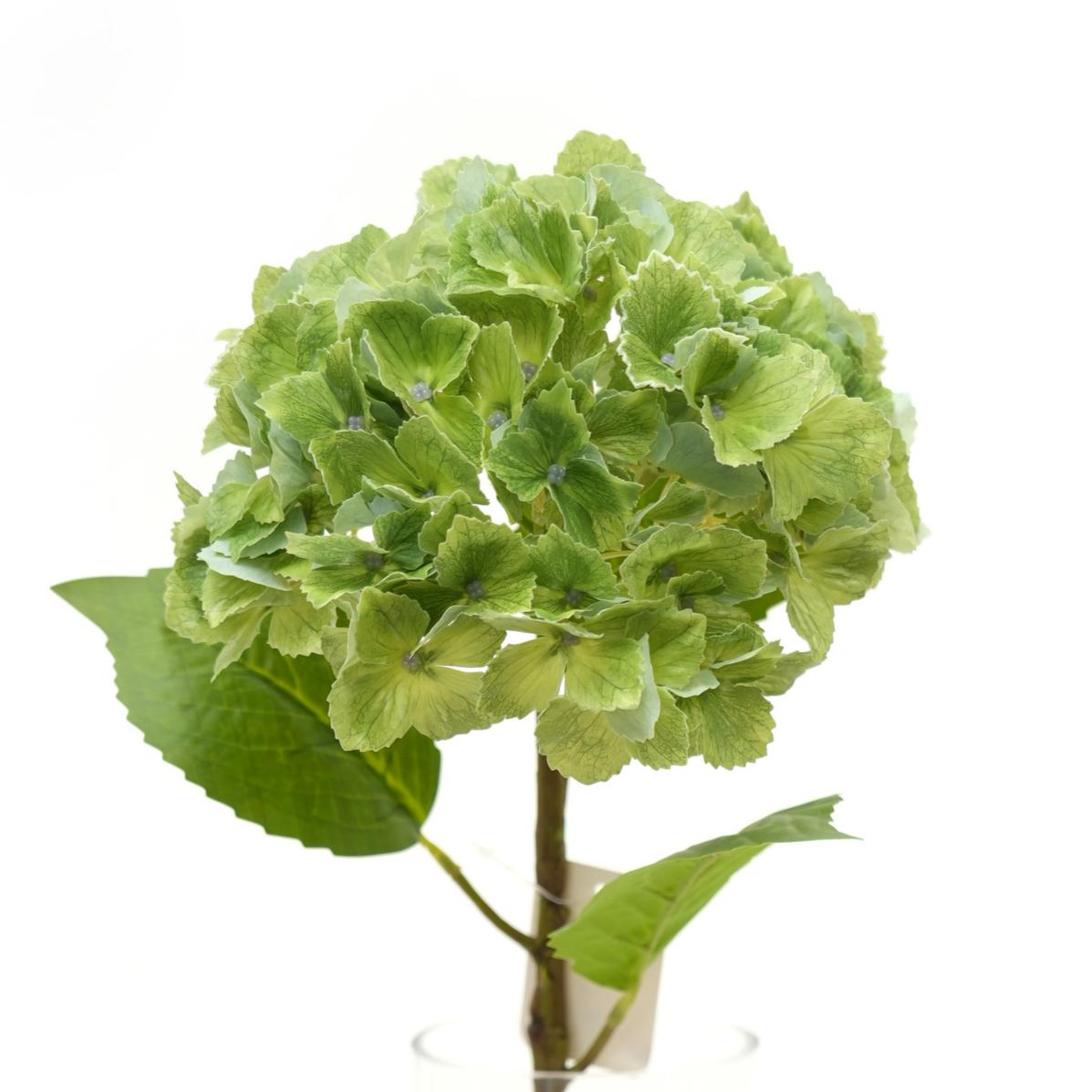 Transworld Toothed Middle Real Touch Hydrangea Artificial Flowers for Wedding Home Festival Decor