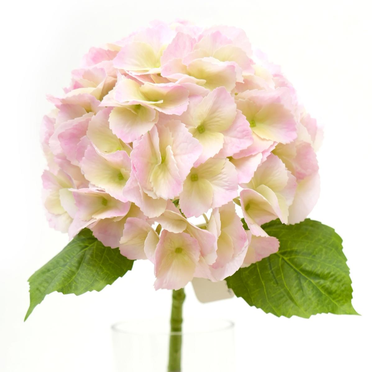 Transworld Canton Fair NDouble Petal Large Real Touch Hydrangea for Wedding Home Festival Decor