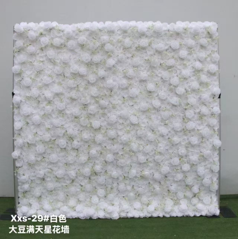 Soybean star-shaped flower wall