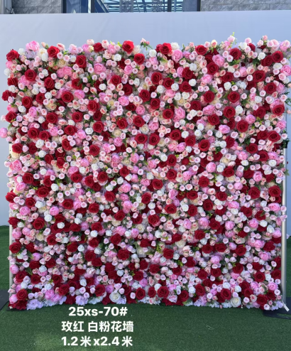 rose-pink white-petaled flower wall