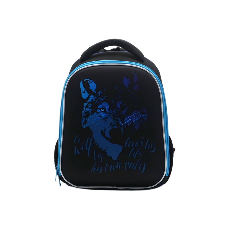 HASLOR schoolbag for boys, animal cartoon design, customization available.