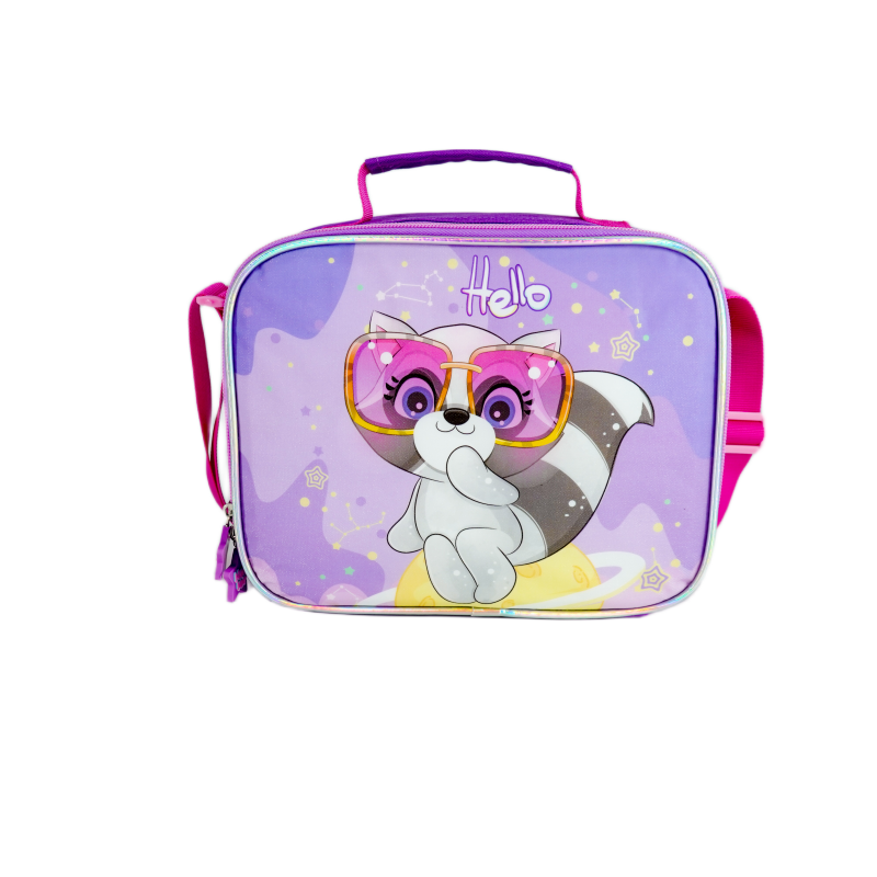 Haslor student lunch bag cute cartoon design customizable