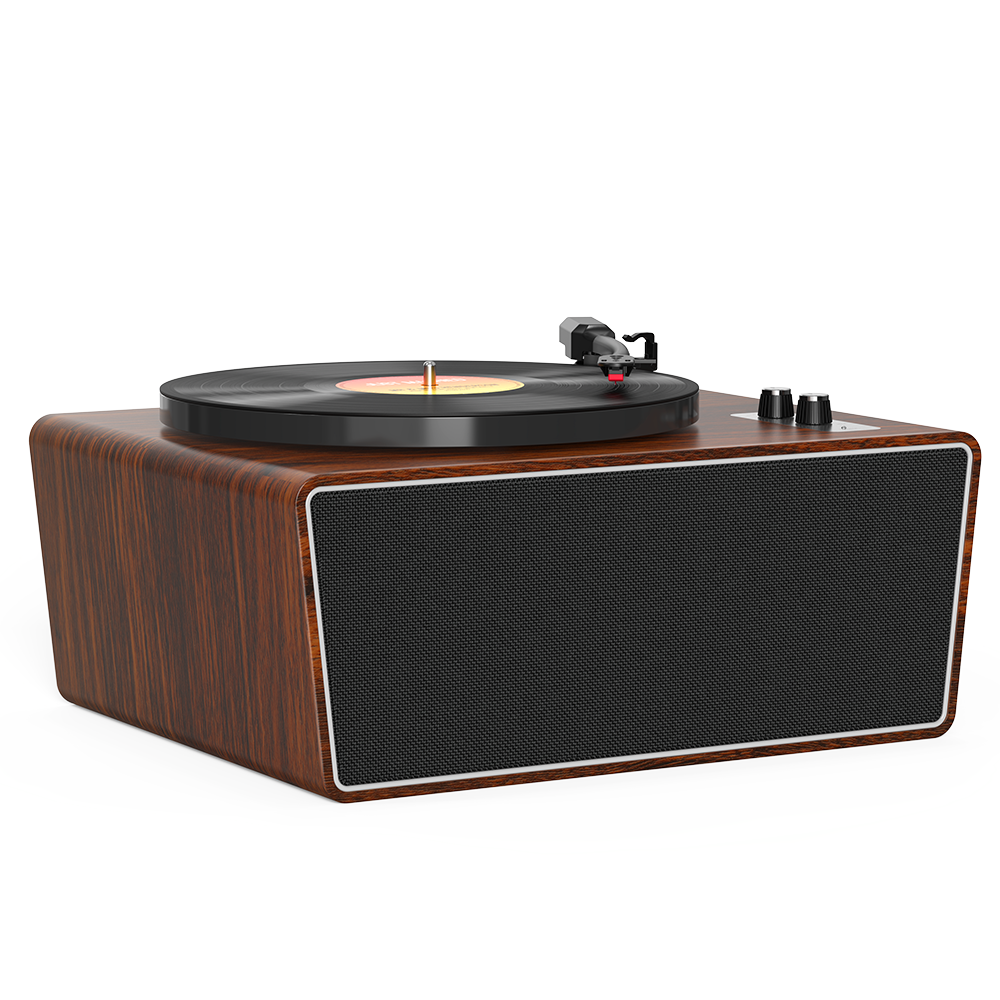 Vinyl Record Player
