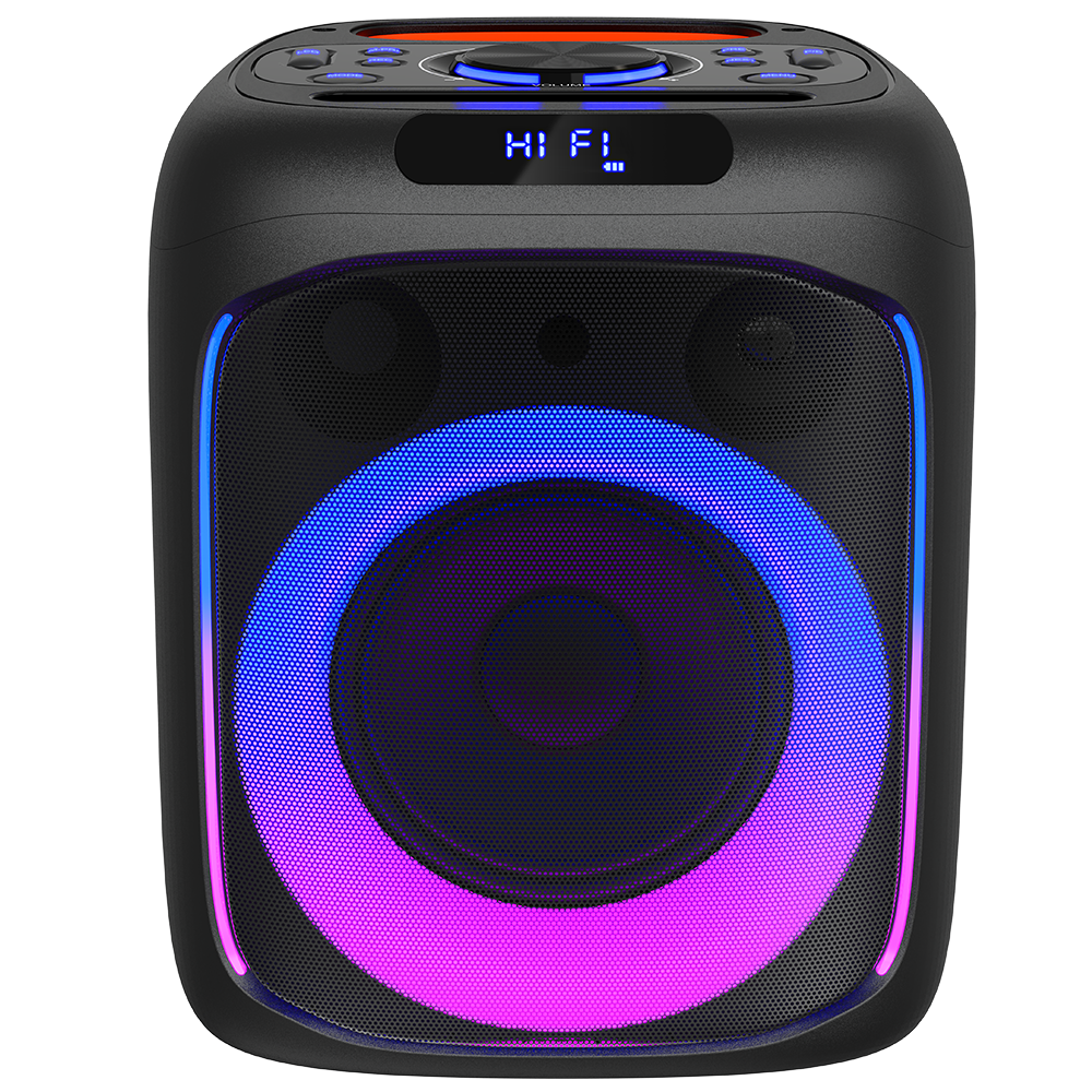 6.5 Inch Party Speaker