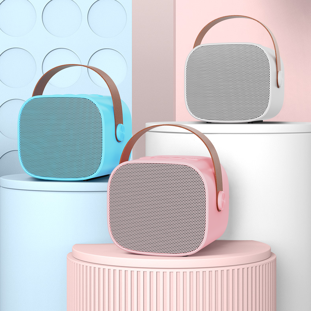 Portable Karaoke Bluetooth Speaker