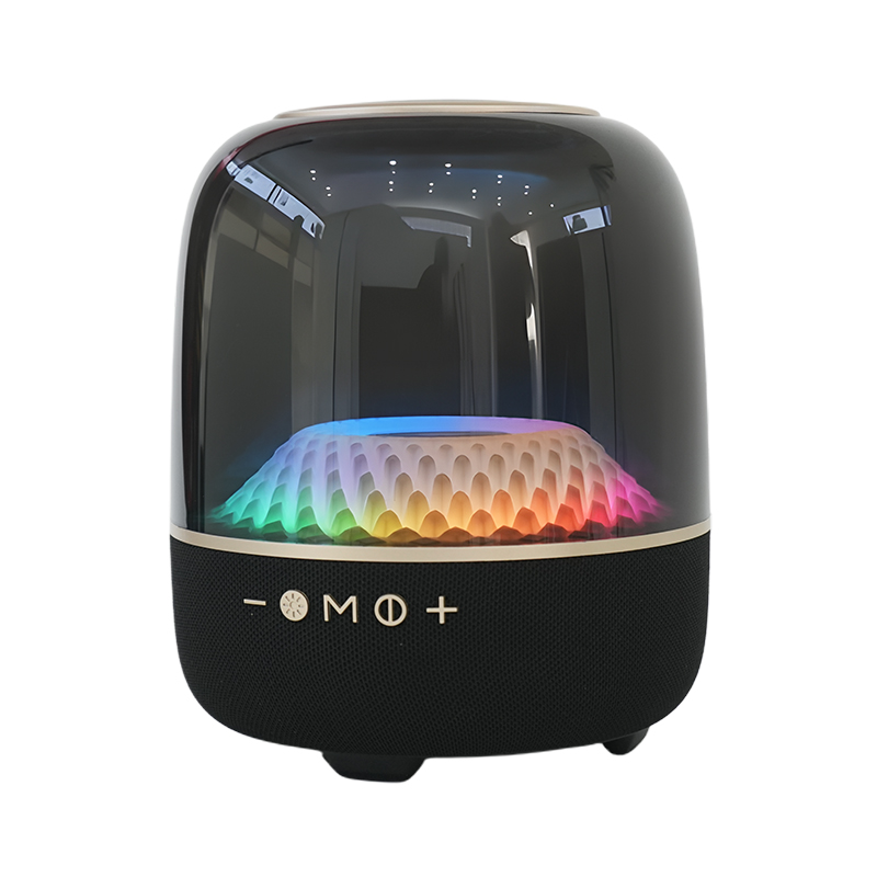 Portable Bluetooth RGB Speaker