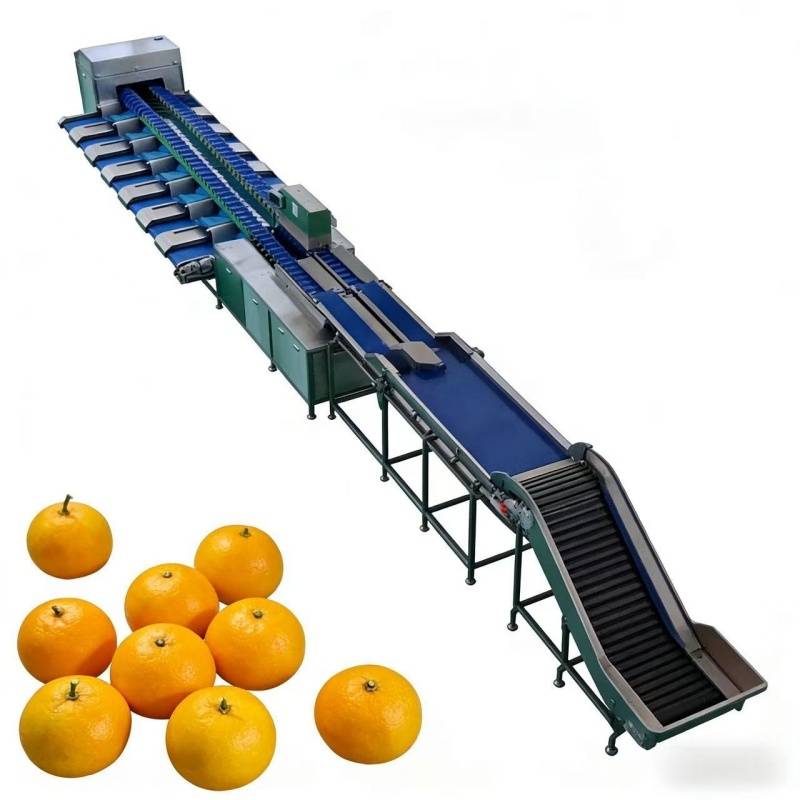 Xindesheng sorting devices Rotary fish industrial sorting and processing equipment equipment for f