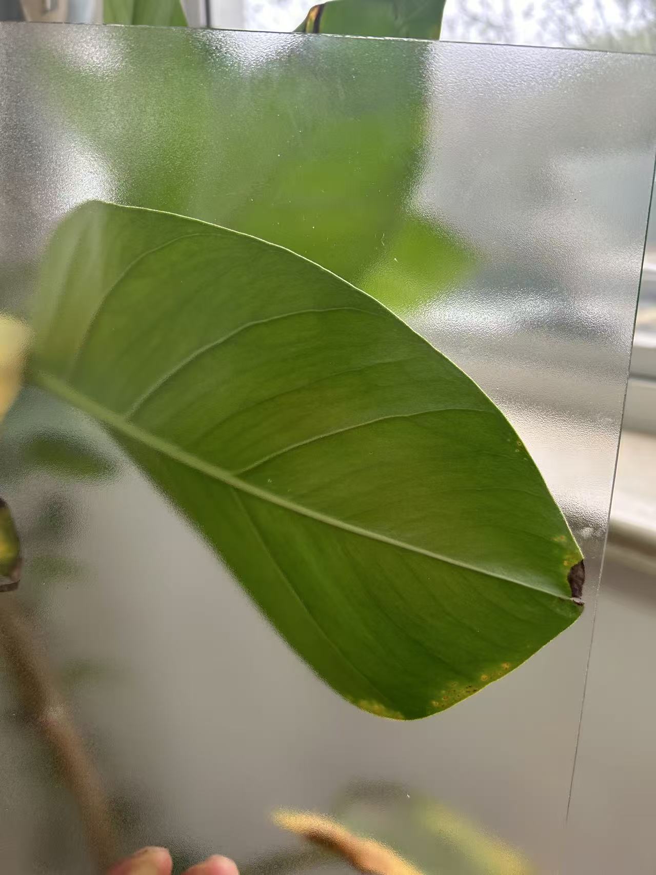 Anti Glare/ Anti Reflective/Frame Glass