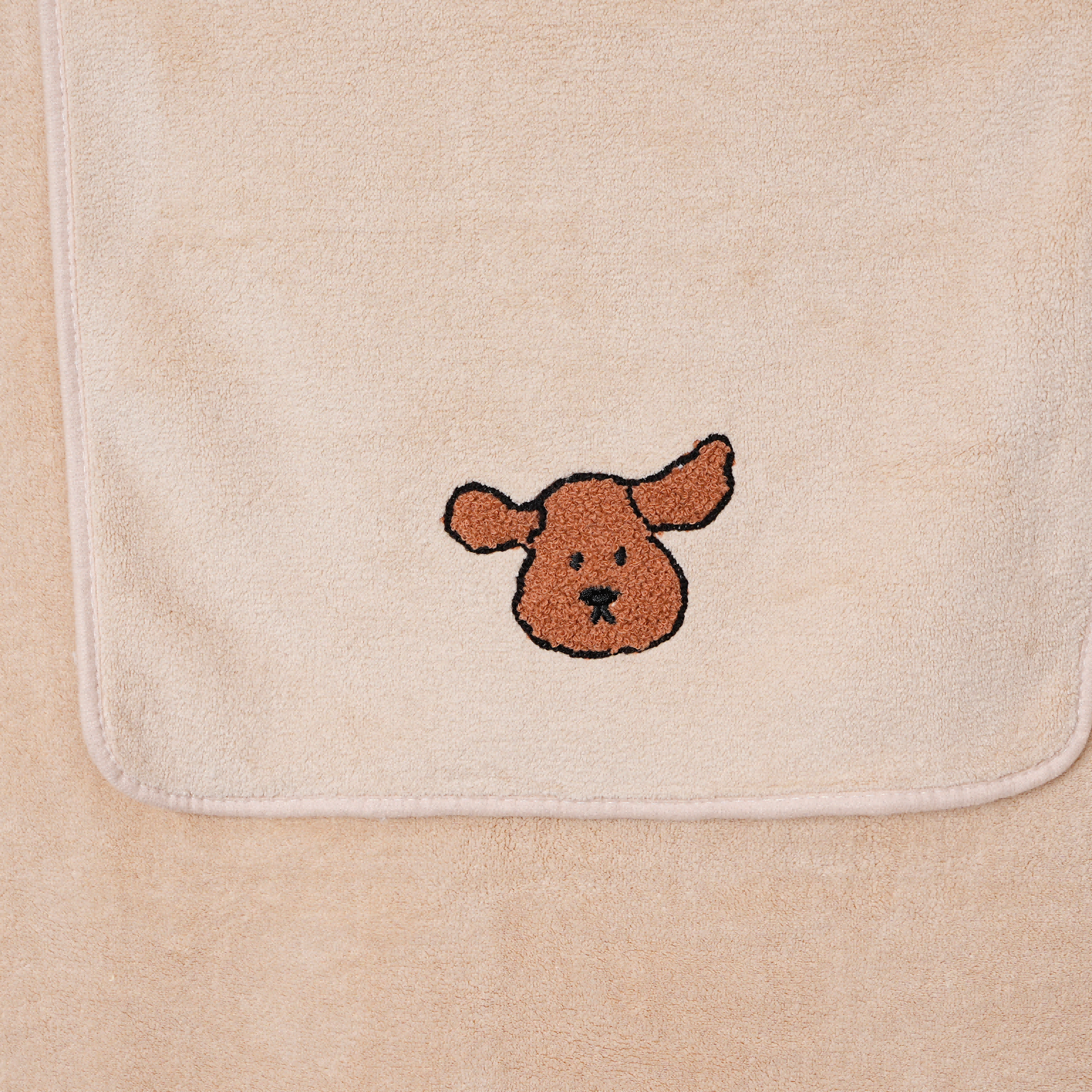 Coral Fleece Embroidery Towel