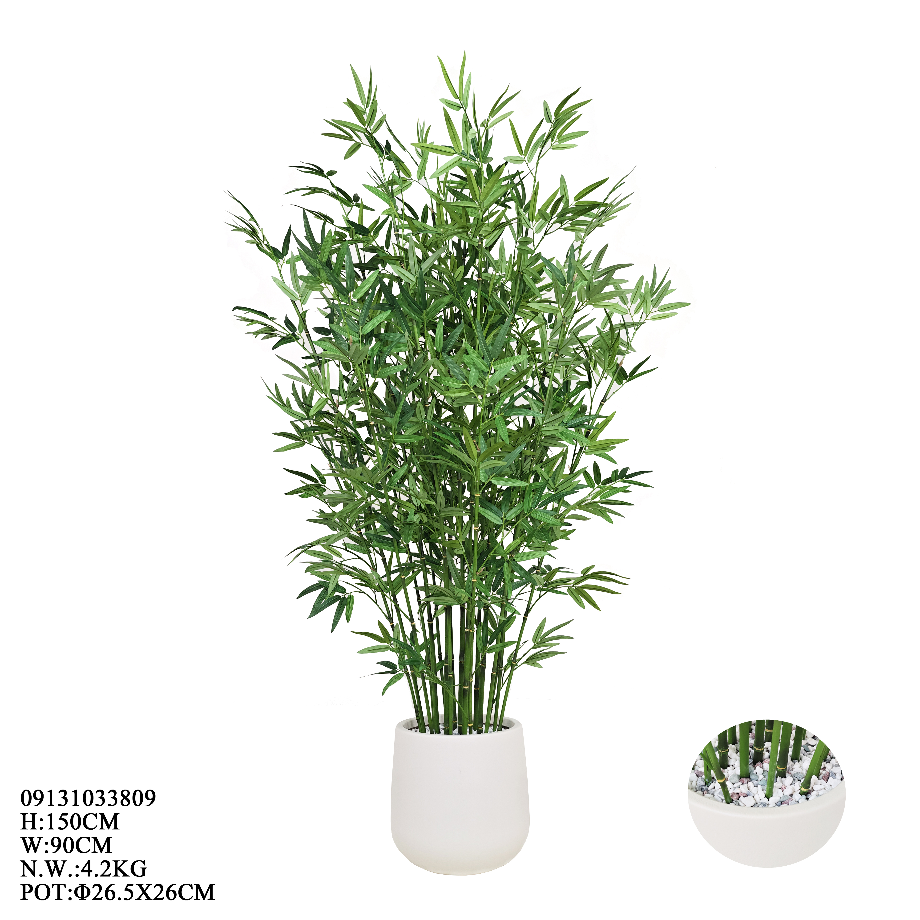 Bamboo