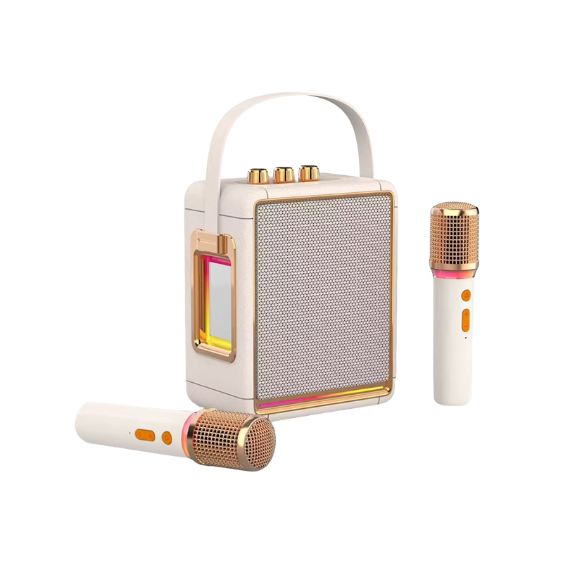 Portable Bluetooth Speaker