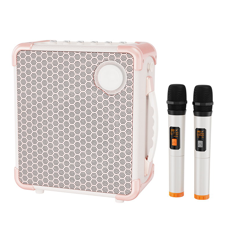 Portable Bluetooth Speaker