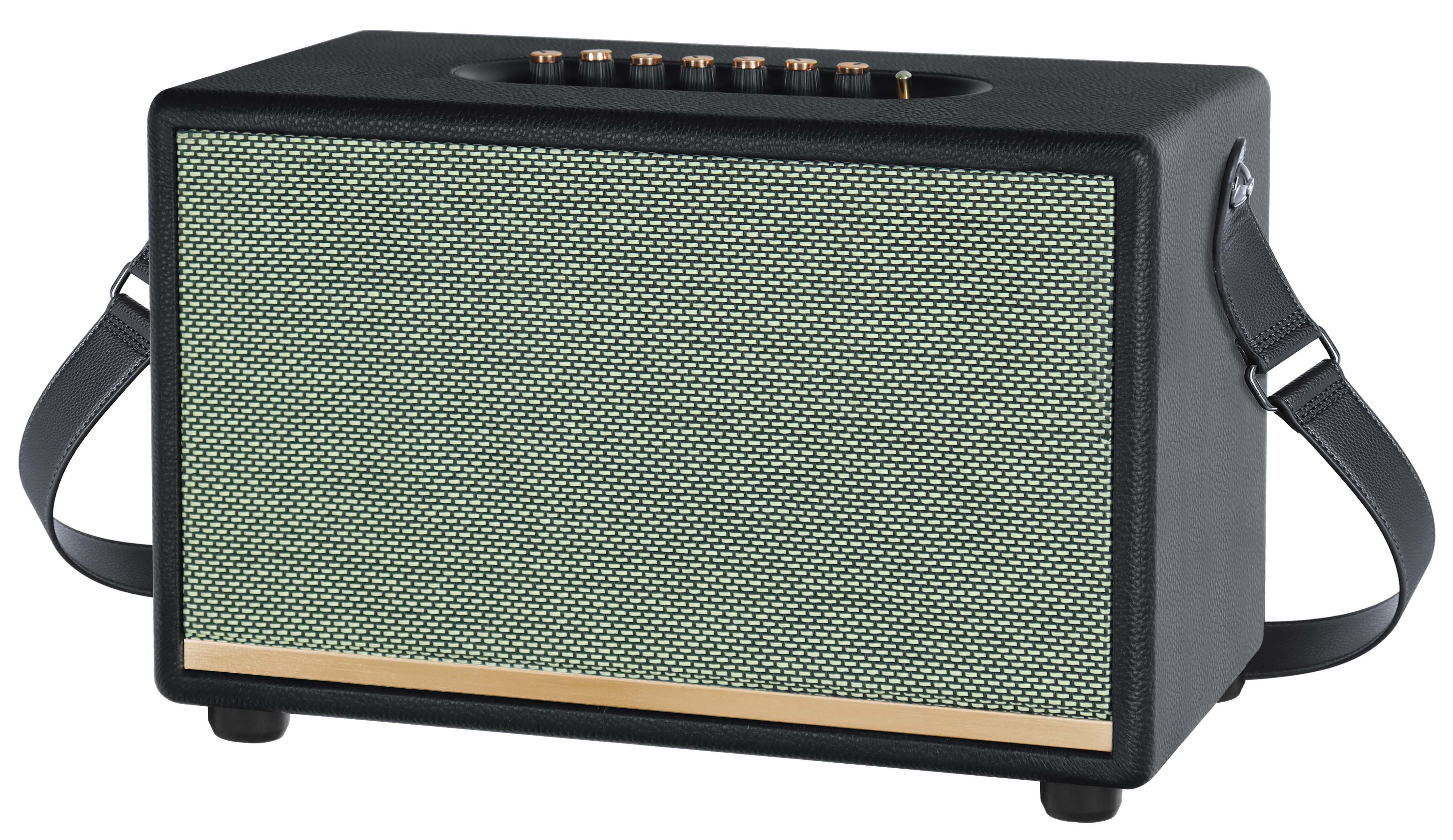 High-power outdoor Bluetooth karaoke speaker