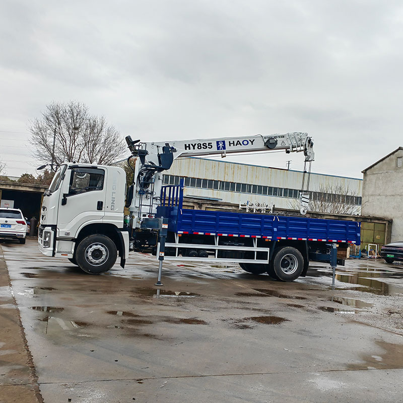 HAOY Telescopic Boom Truck Crane