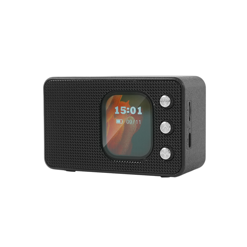 Bluetooth Speaker with FM radio