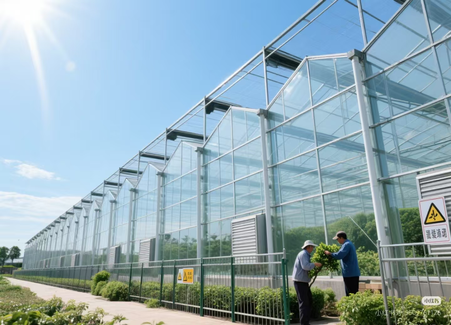 Greenhouse glass