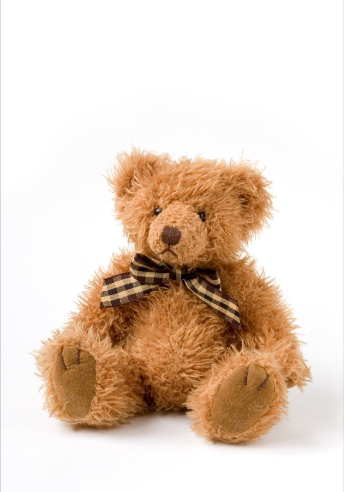 plush teddy bear