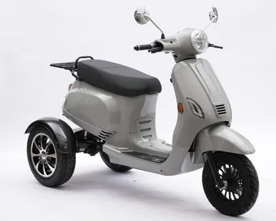 Fd Motors X11 Tricycle