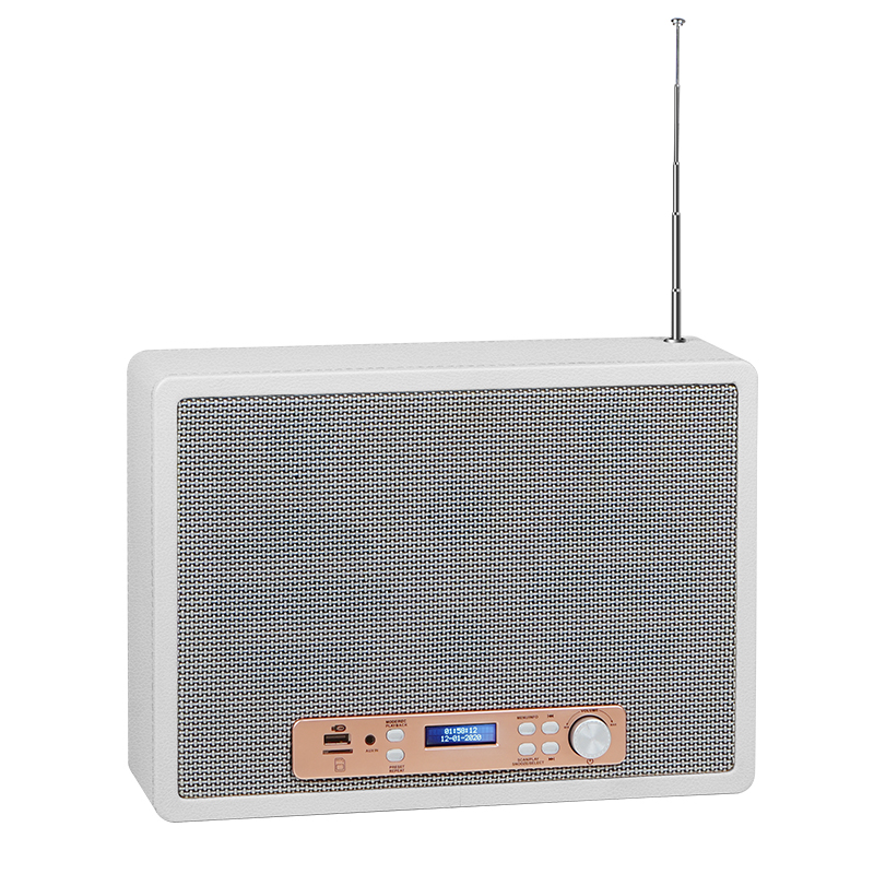 Bluetooth DAB Radio