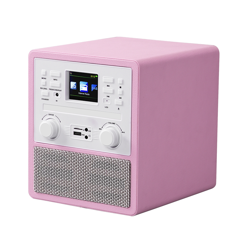 Bluetooth DAB Radio+ Speaker