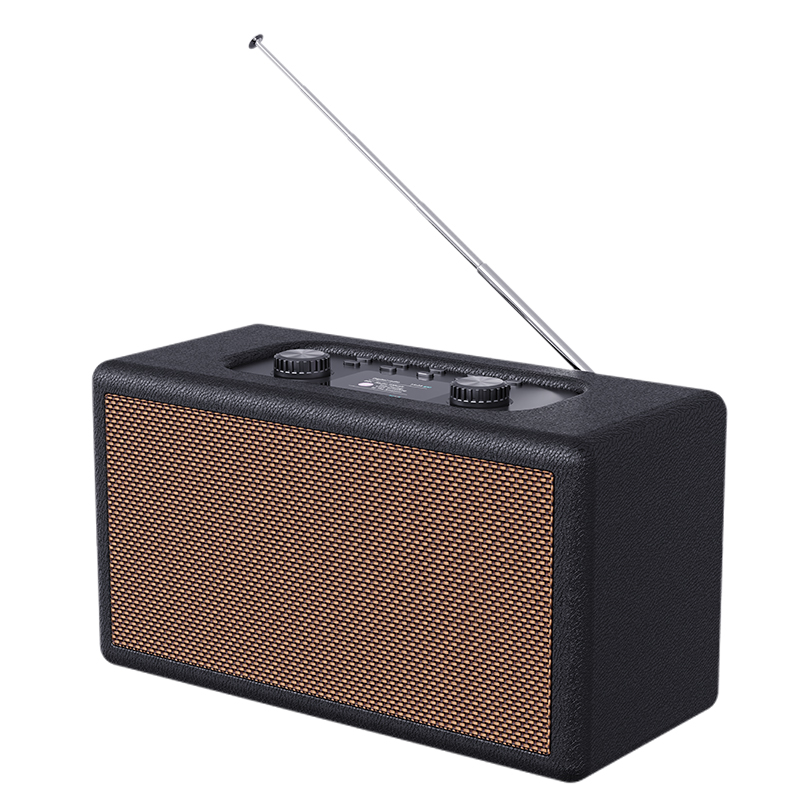 Bluetooth DAB Radio+ Speaker