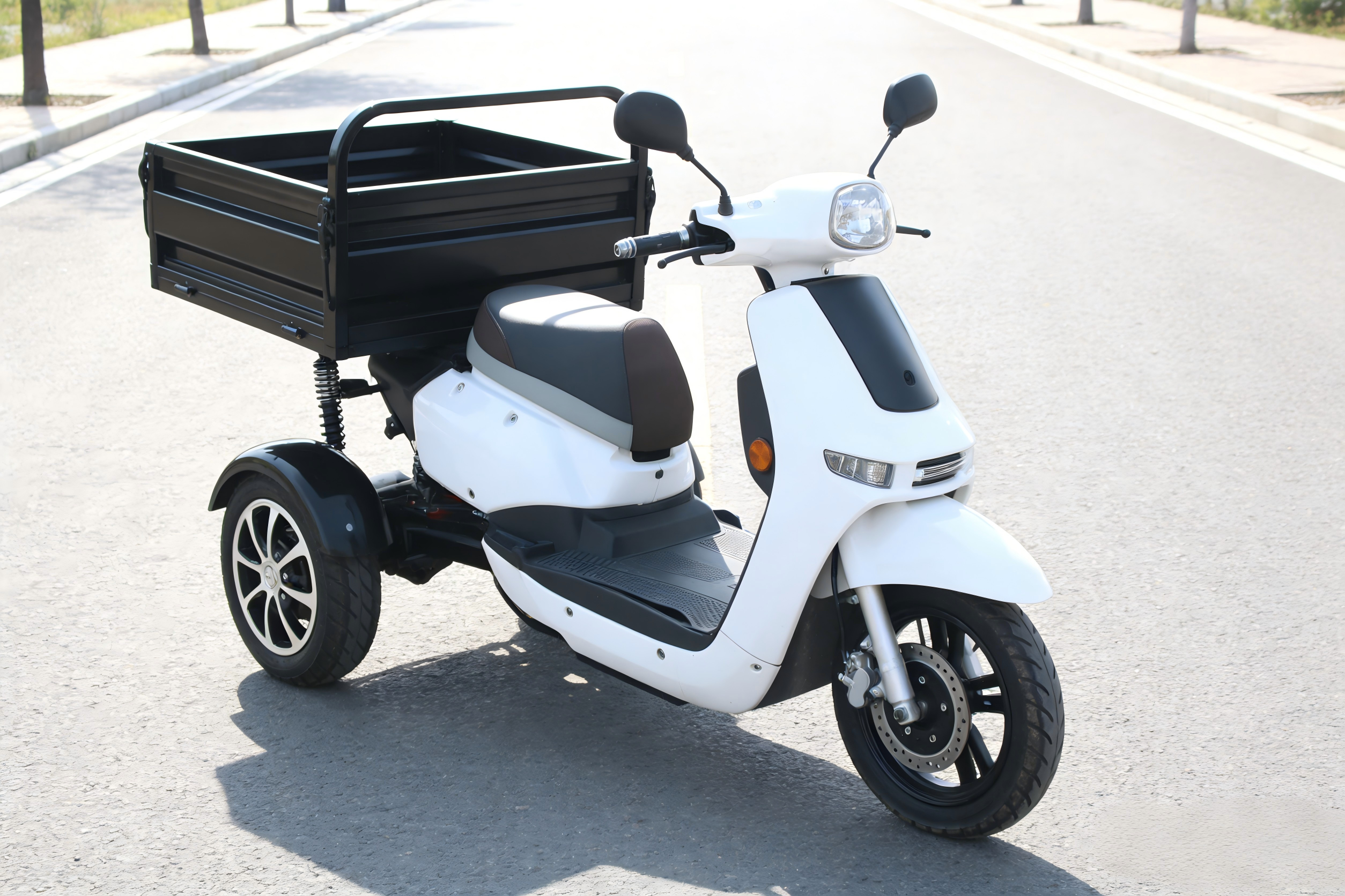 Fd Motors B6 Tri Cargo E Tricycle