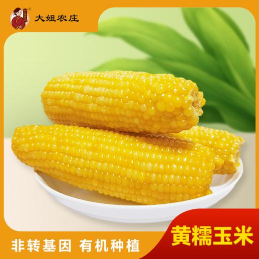 Elder Sister Farm Yellow Waxy Corn