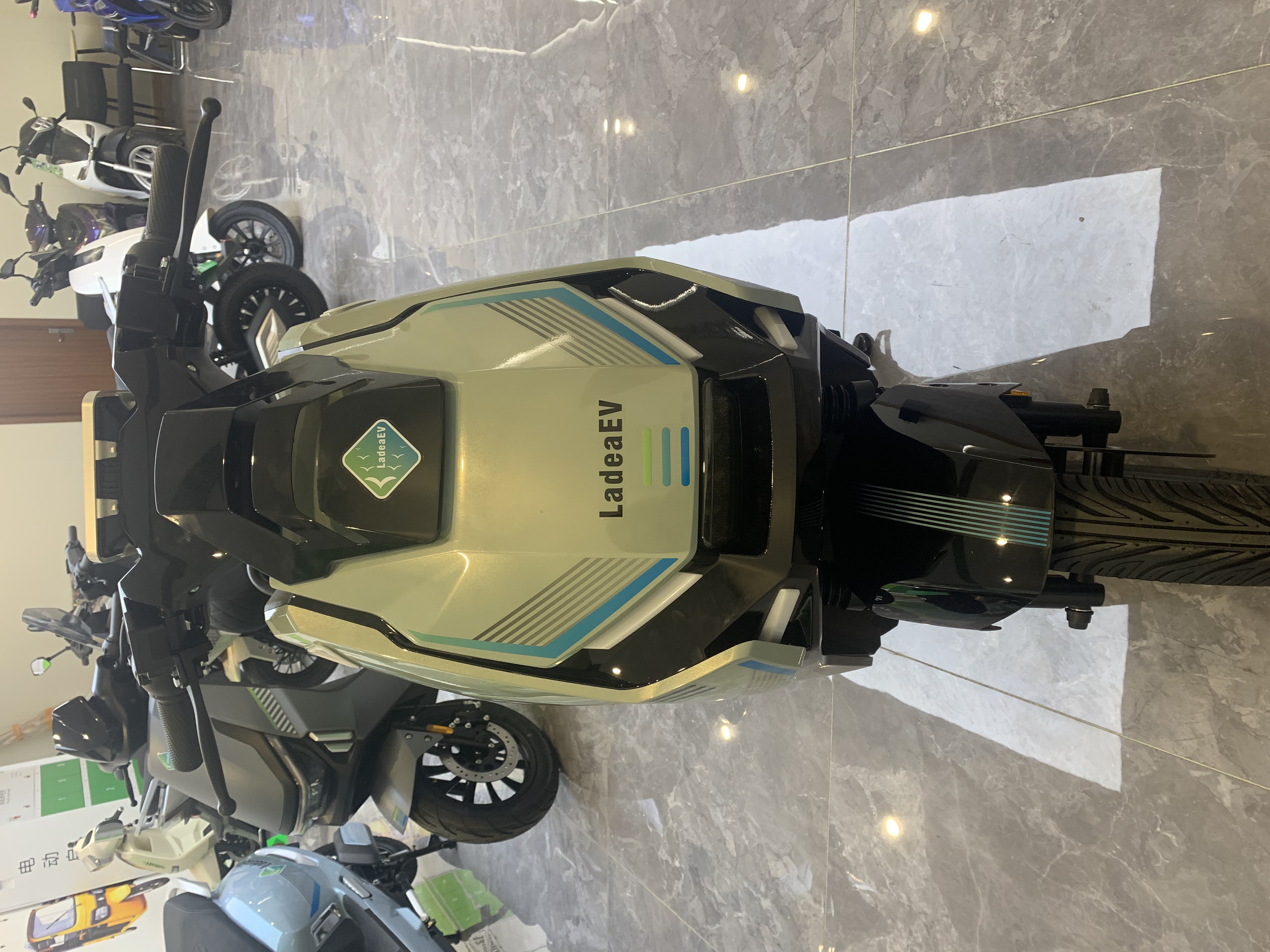 Electric motorcycle