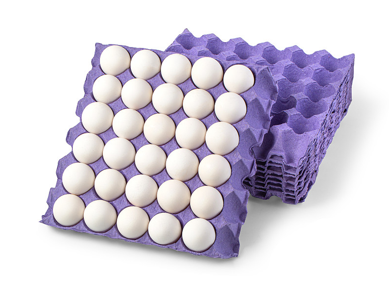 AGICO Egg Tray Making Machine