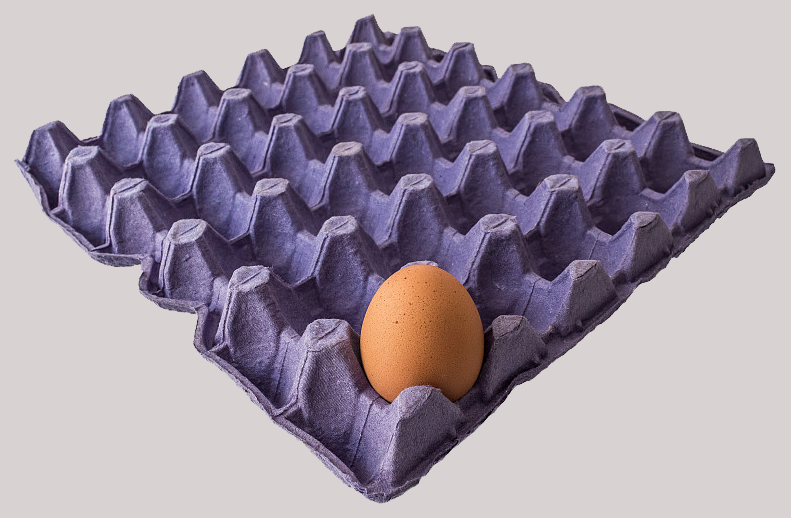 AGICO Egg Tray Making Machine