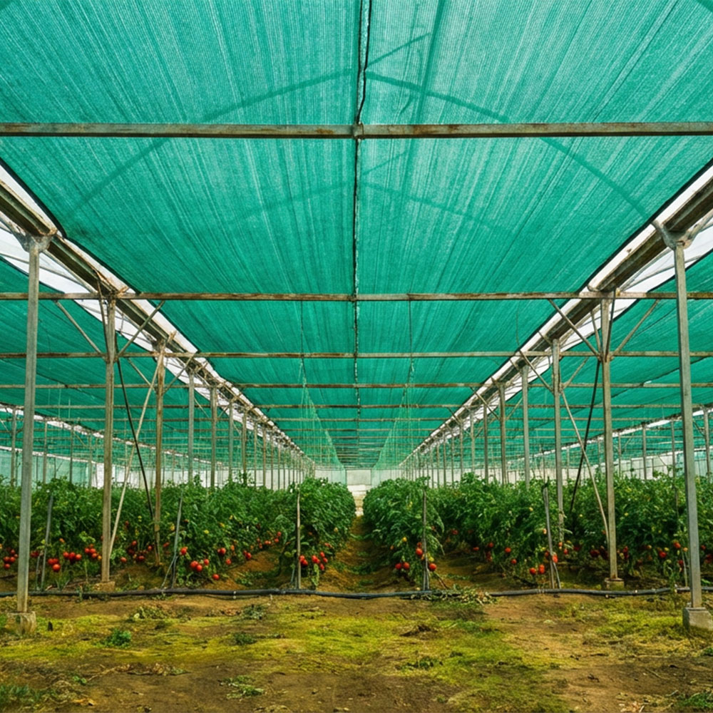 Shade net, shade nets, shade cloth, shade netting, malla sombra, raschel malla, malla de sombra