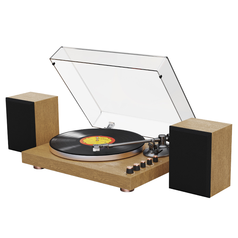 Vinyl turntable Record Player
