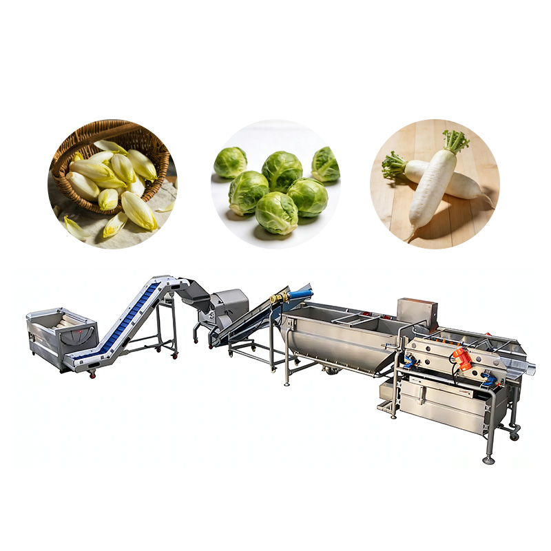 Fruit Vegetable Processing Line