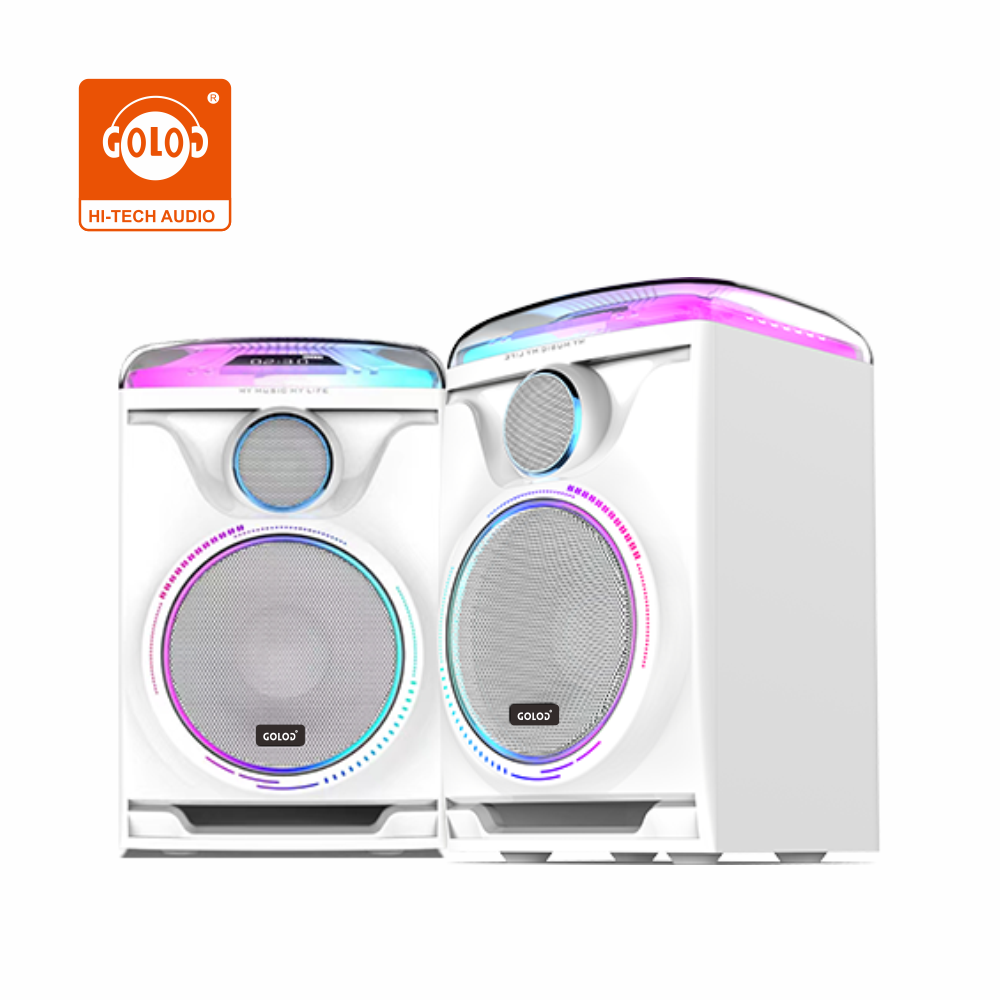 Portable Double 5 Inch Bluetooth Speaker