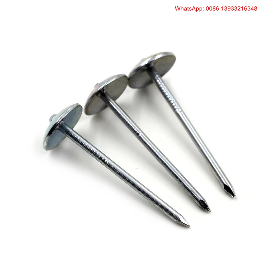 roofing nail