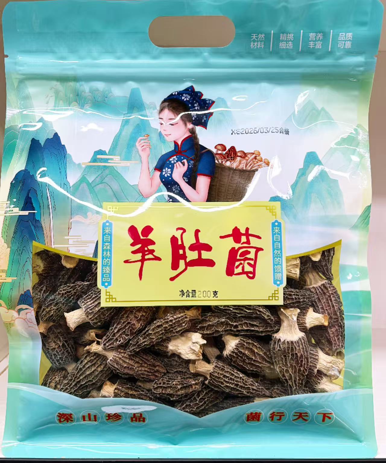 Plateau morel mushroom