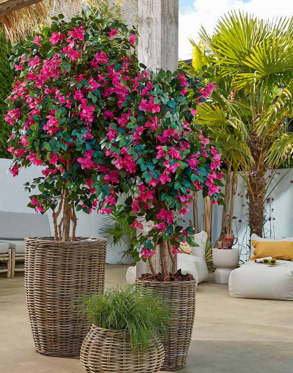 Flower Basket