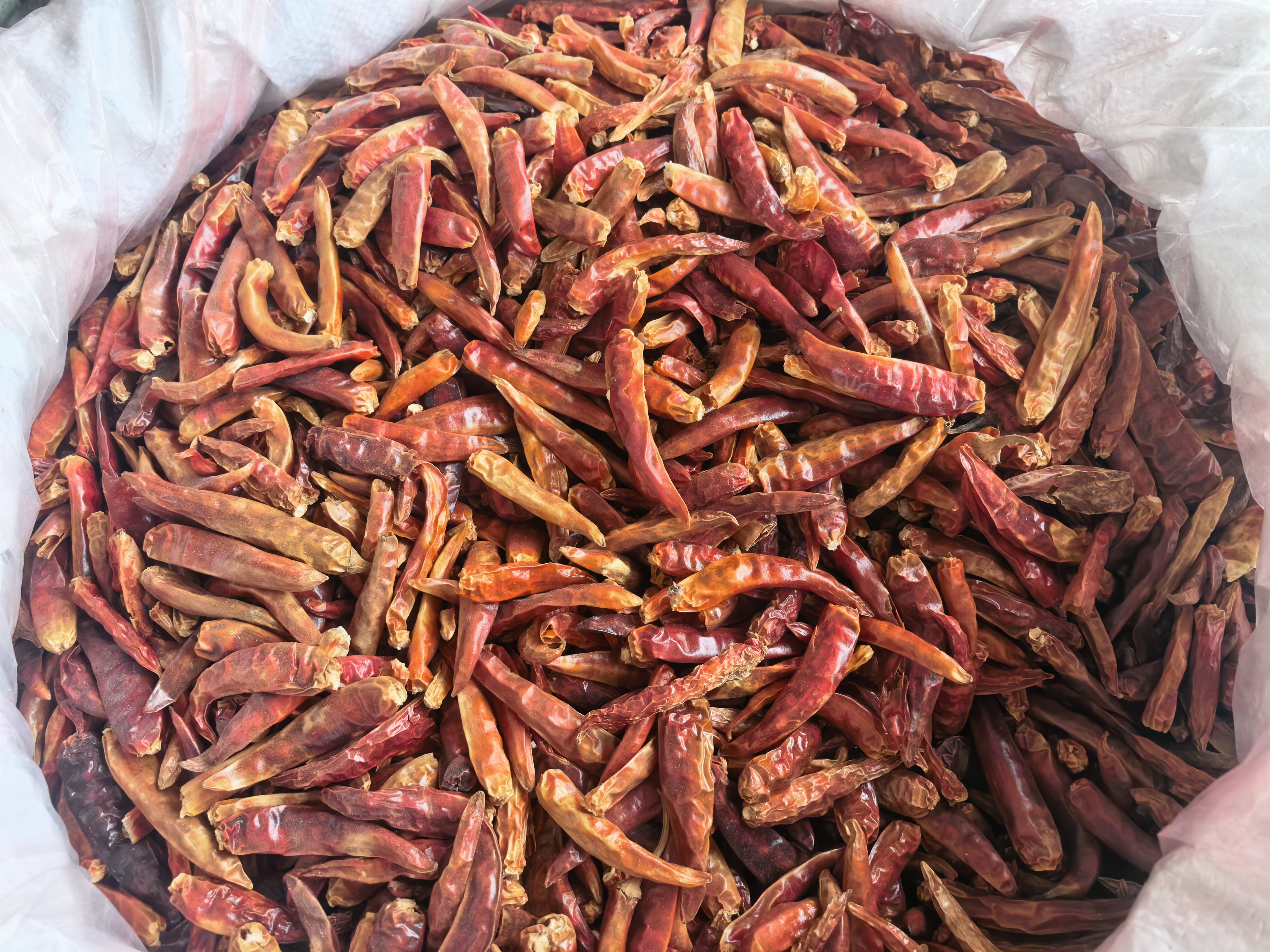 Chili