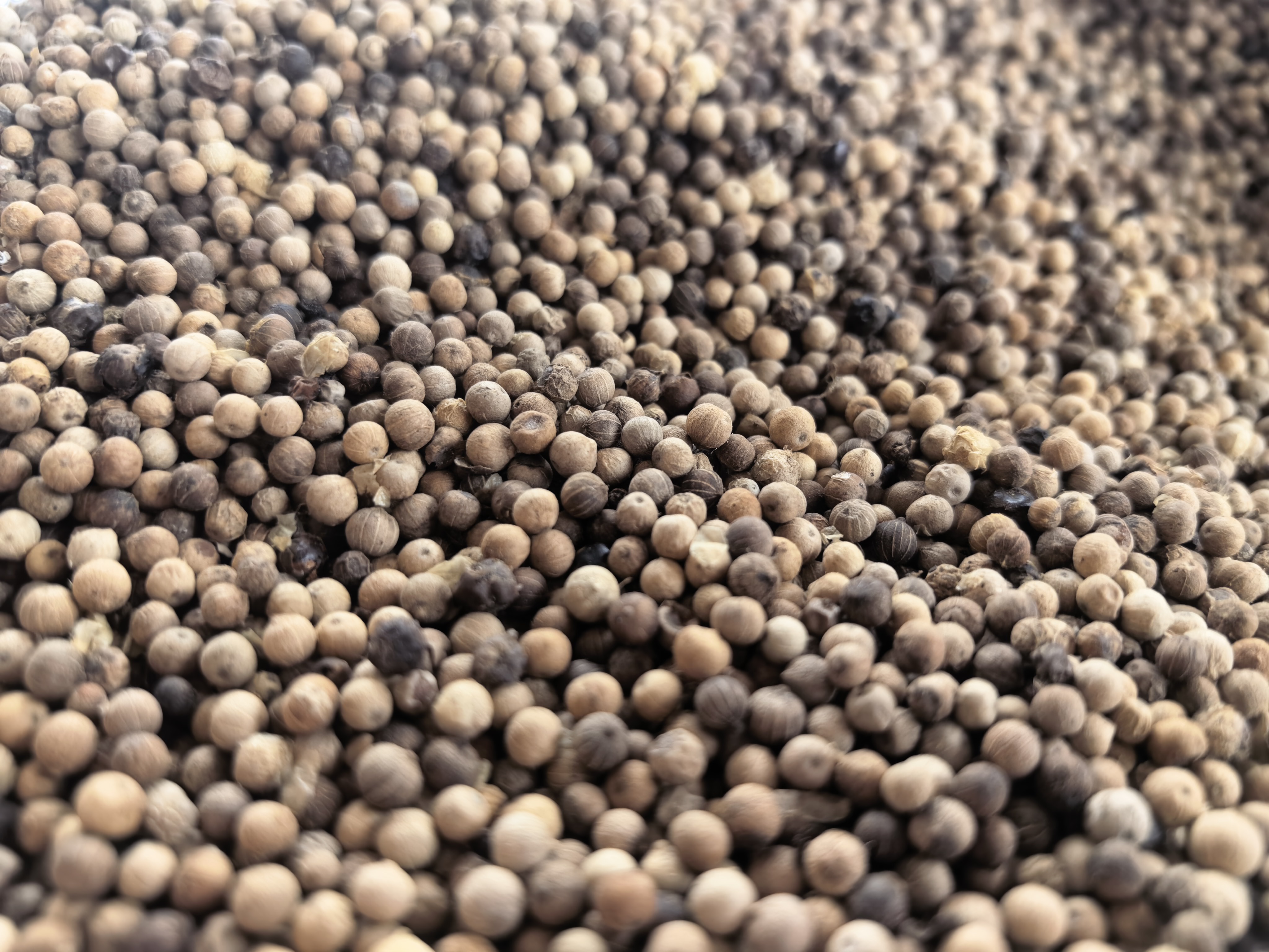White Pepper