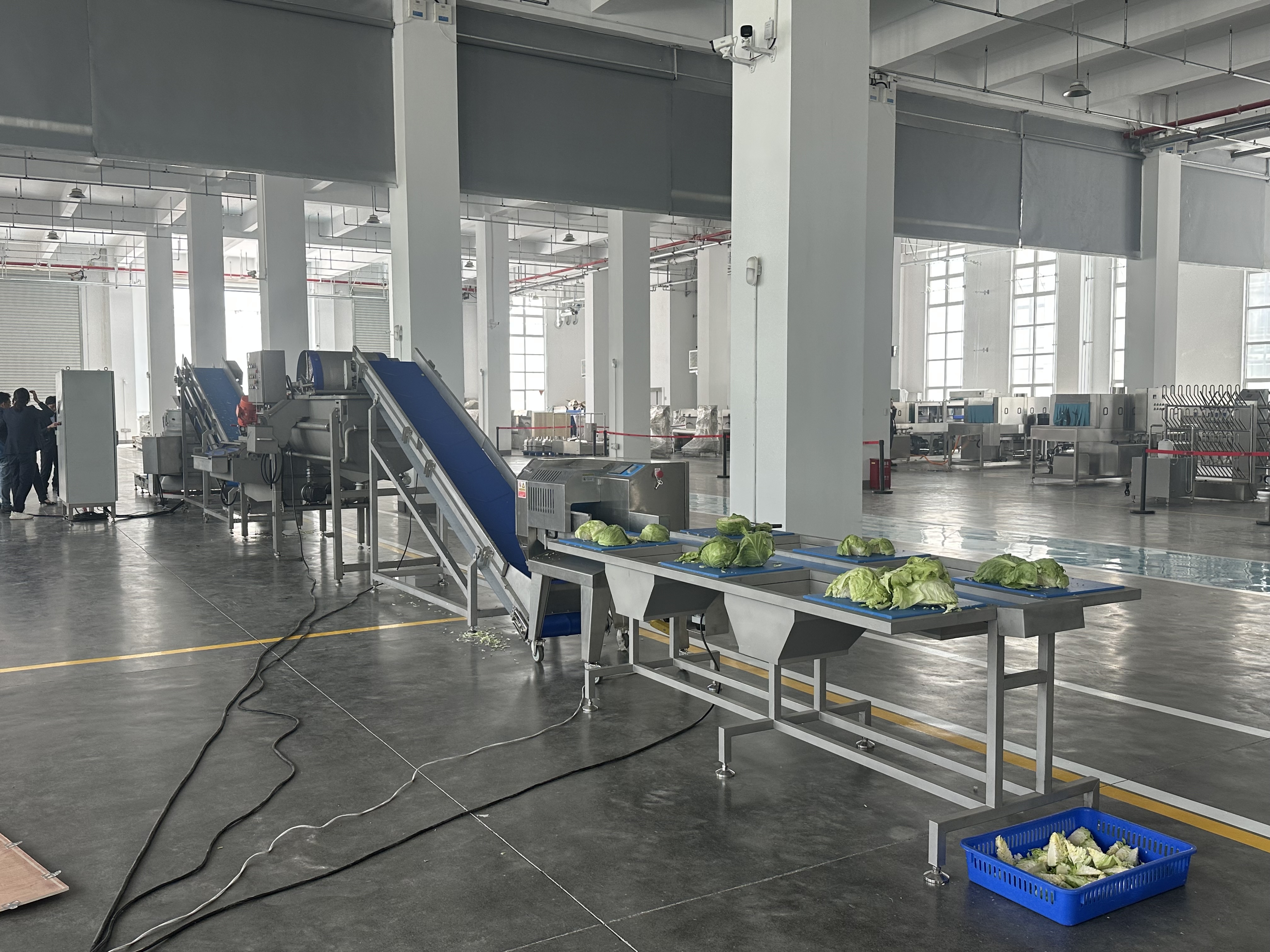 Henger Fruit vegetable washing line