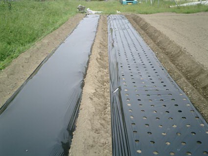 Agricultural Plastic Film