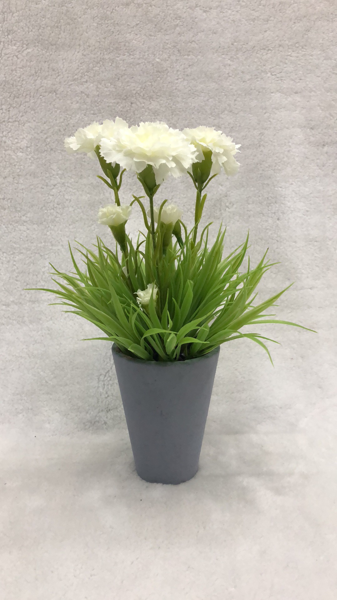 Potted carnation