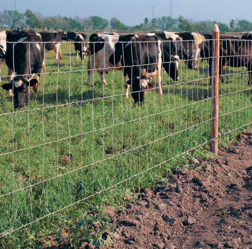 filed fence
