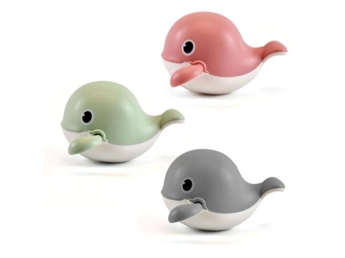 Swimming Whale
