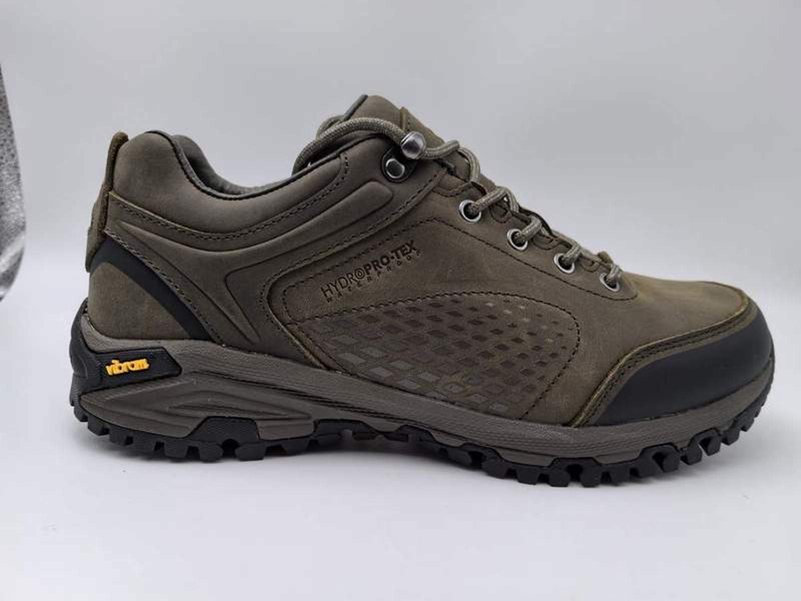 Hiking shoes