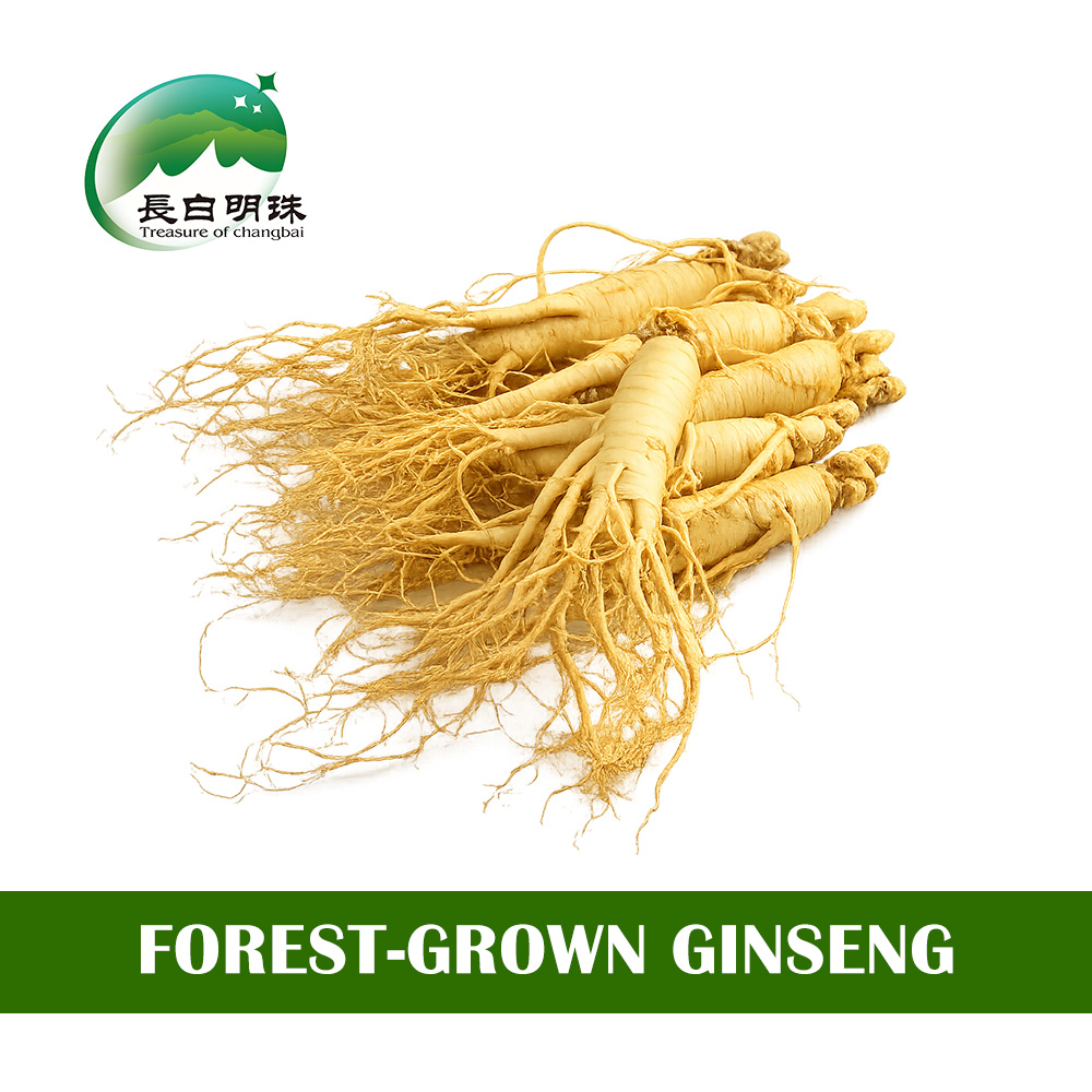 Premium Changbai Mountain Ginseng