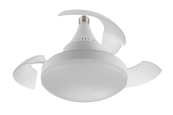 Fan lamp